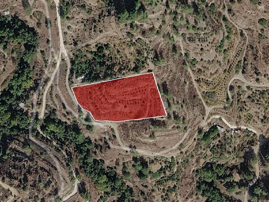 Field - Pelendri, Limassol
