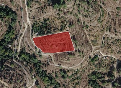 Pelendri, Limassol Agricultural Field For Sale | WW31191