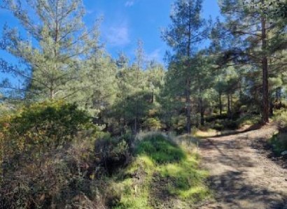 Pelendri, Limassol Agricultural Field For Sale | WW31192