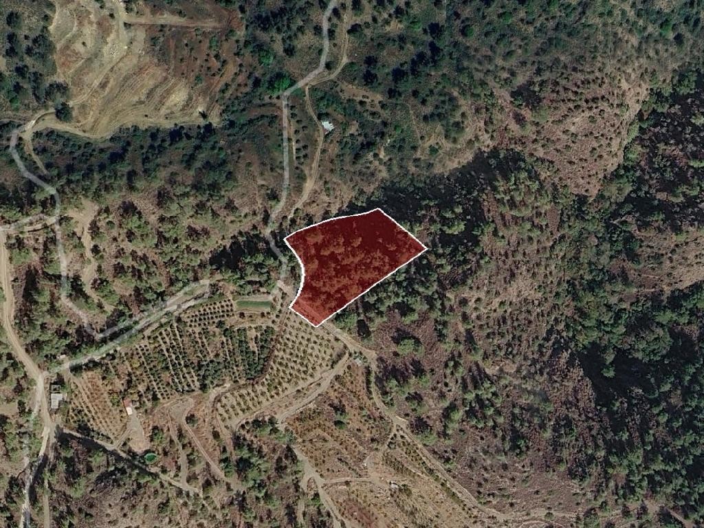 Field - Pelendri, Limassol