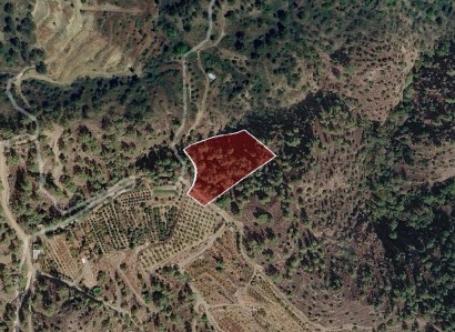 Pelendri, Limassol Agricultural Field For Sale | WW31192