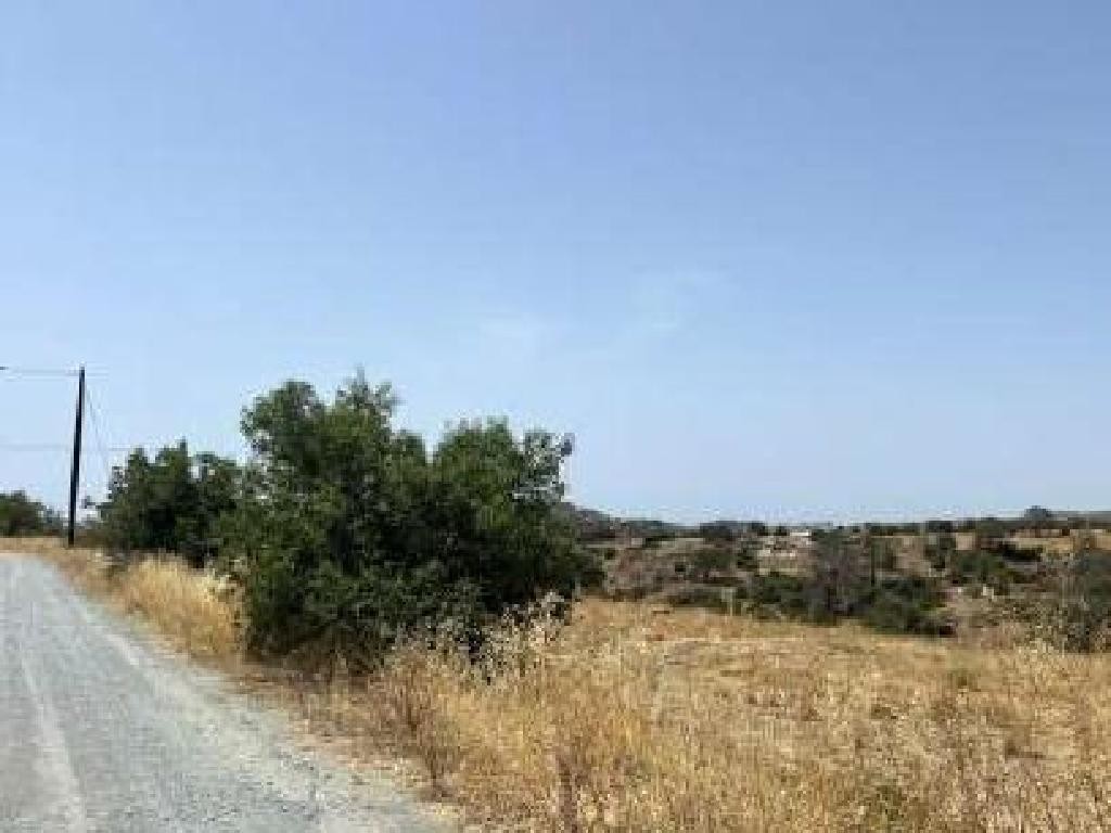 Pyrgos, Limassol Agricultural Field For Sale | WW31196