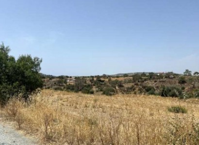 Pyrgos, Limassol Agricultural Field For Sale | WW31196