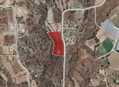 Pyrgos, Limassol Agricultural Field For Sale | WW31196