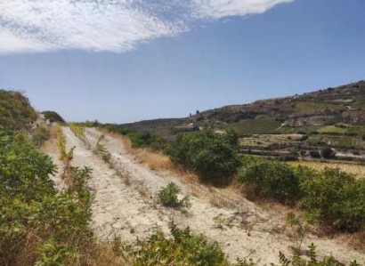 Omodos, Limassol Agricultural Field For Sale | WW31197