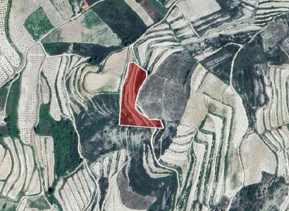 Omodos, Limassol Agricultural Field For Sale | WW31197