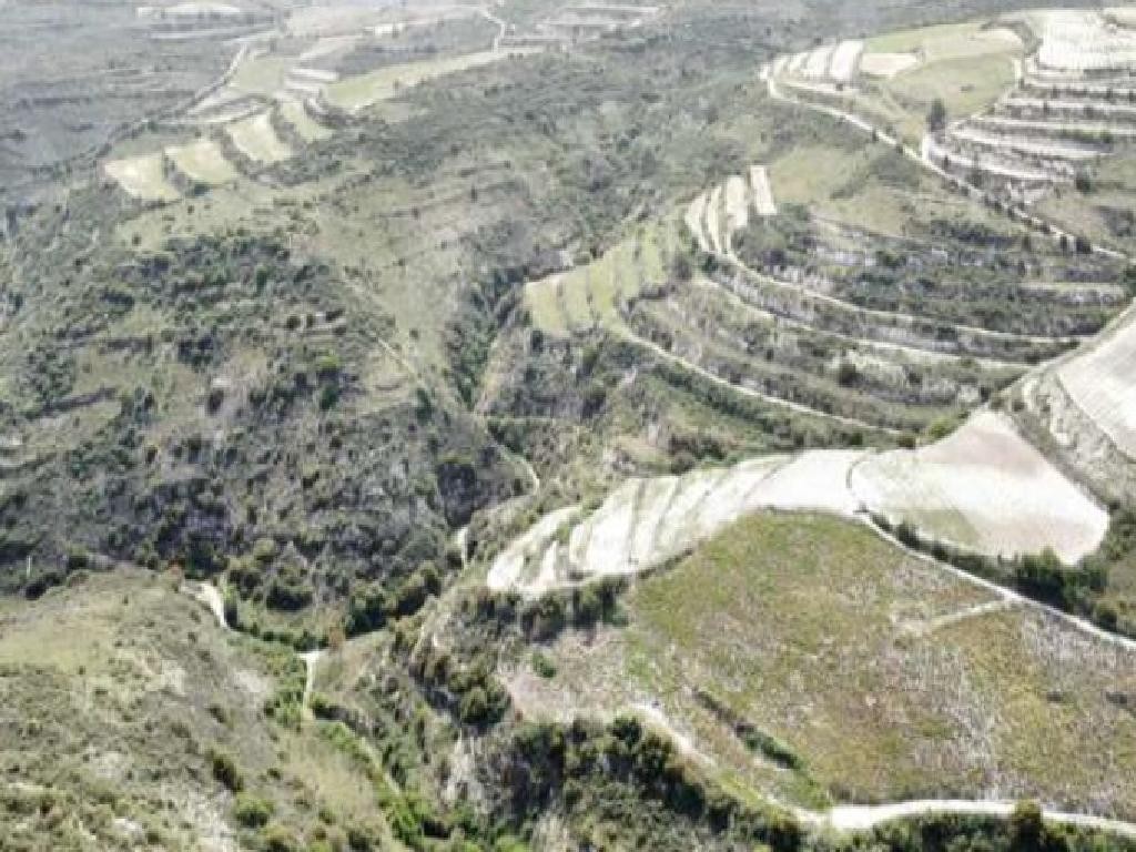 Omodos, Limassol Agricultural Field For Sale | WW31198