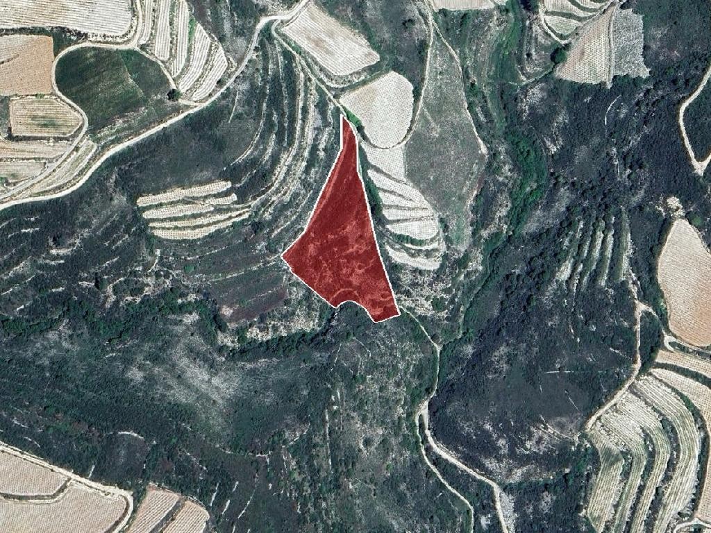 Field in Omodos