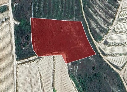 Vasa Koilaniou Agricultural Field For Sale | WW31199