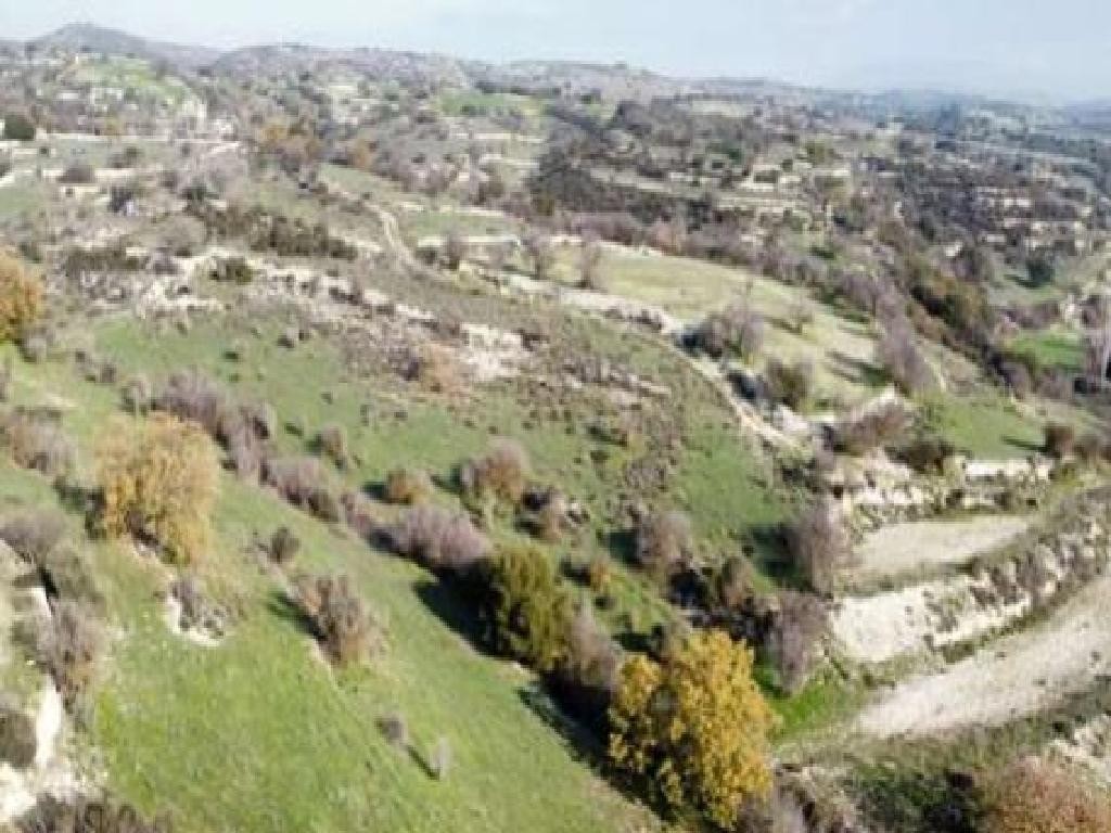 Dora, Limassol Agricultural Field For Sale | WW31200