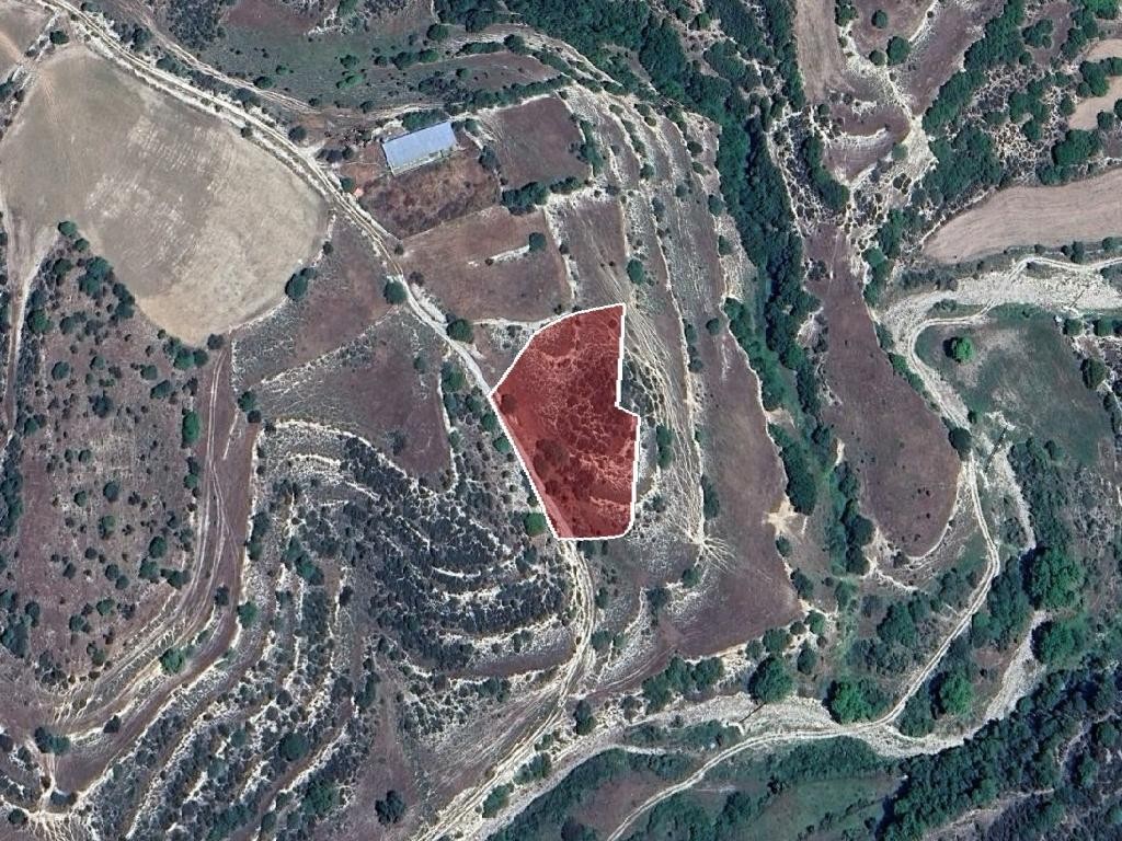 Field - Dora, Limassol