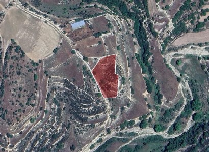 Dora, Limassol Agricultural Field For Sale | WW31200