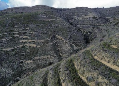 Arsos, Limassol Agricultural Field For Sale | WW31201