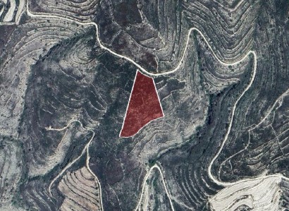 Arsos, Limassol Agricultural Field For Sale | WW31201