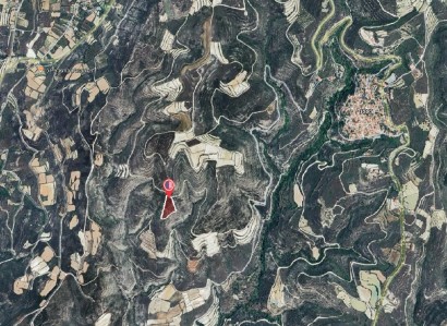 Arsos, Limassol Agricultural Field For Sale | WW31201