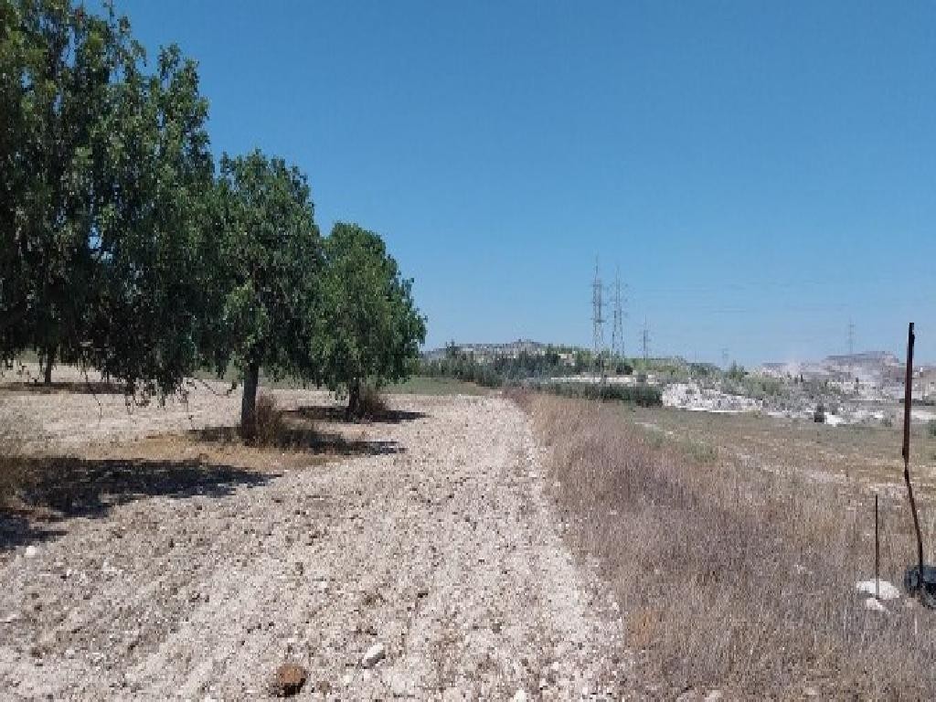 Aradippou, Larnaca Agricultural Field For Sale | WW31206