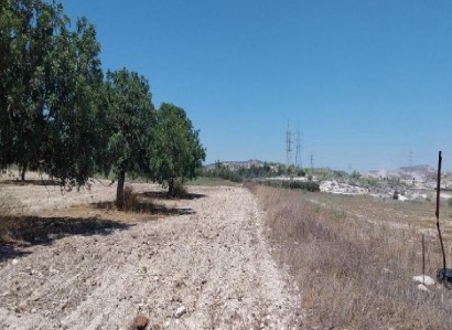 Aradippou, Larnaca Agricultural Field For Sale | WW31206
