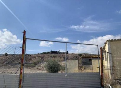 Aradippou, Larnaca Agricultural Field For Sale | WW31206