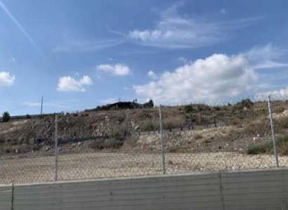 Aradippou, Larnaca Agricultural Field For Sale | WW31206