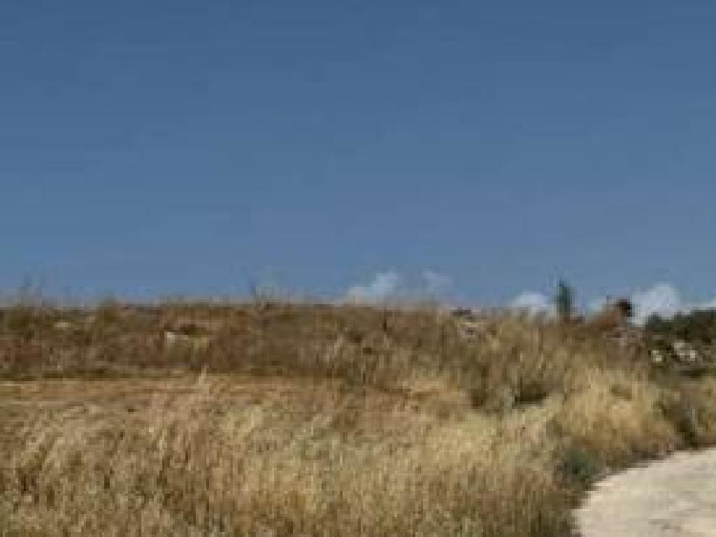 Drymou, Paphos Agricultural Field For Sale | WW31209