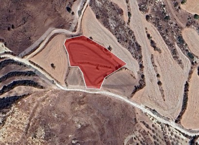 Drymou, Paphos Agricultural Field For Sale | WW31209