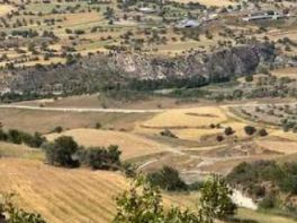 Drymou, Paphos Agricultural Field For Sale | WW31210
