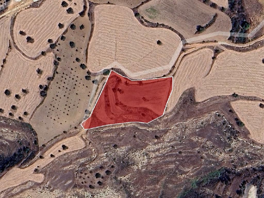Field - Drymou, Paphos