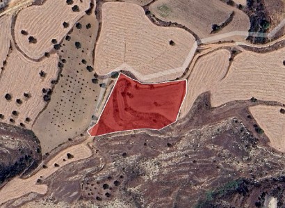 Drymou, Paphos Agricultural Field For Sale | WW31210
