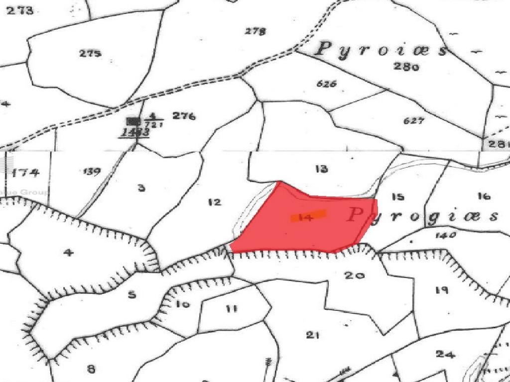 Field - Drymou, Paphos