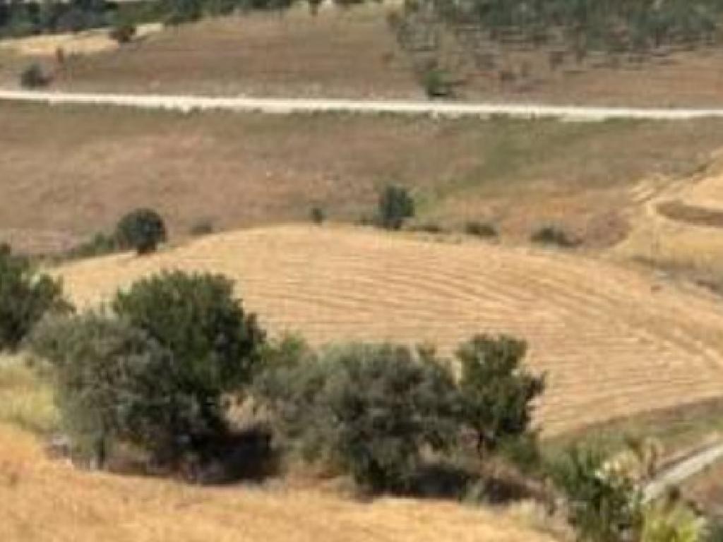Field - Drymou, Paphos