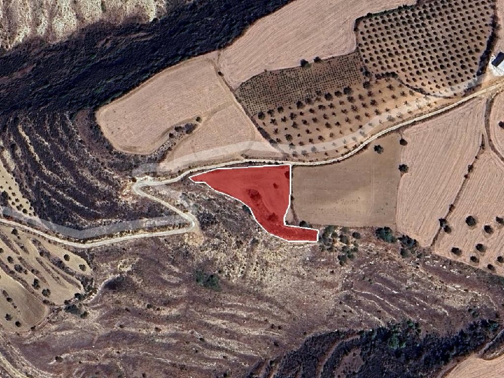 Field - Drymou, Paphos