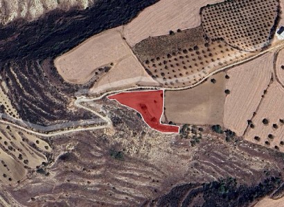 Drymou, Paphos Agricultural Field For Sale | WW31211