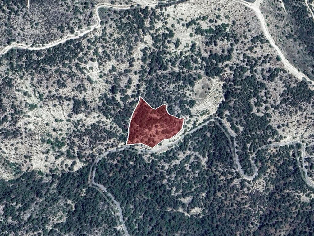 Field - Arminou, Paphos