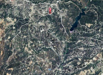Arminou, Paphos Agricultural Field For Sale | WW31212