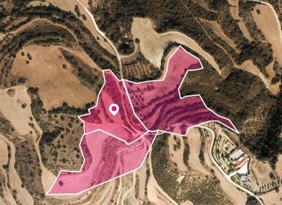 Skoulli, Paphos Agricultural Field For Sale | WW31218