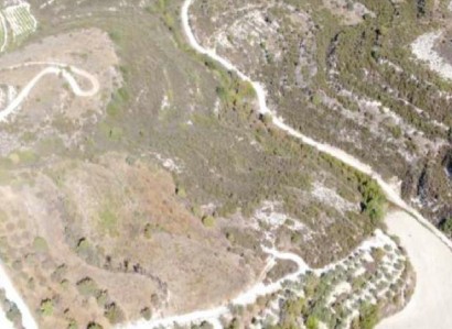 Pachna, Limassol Agricultural Field For Sale | WW31225