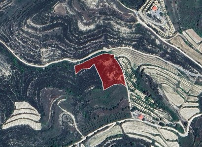 Pachna, Limassol Agricultural Field For Sale | WW31225
