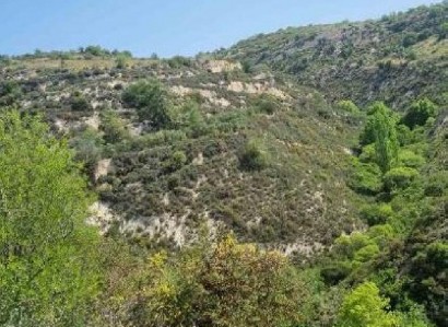 Arsos, Limassol Agricultural Field For Sale | WW31226