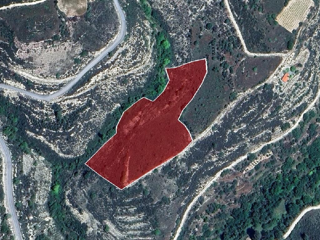 Field - Αrsos, Limassol