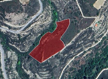Arsos, Limassol Agricultural Field For Sale | WW31226