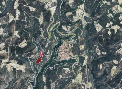 Arsos, Limassol Agricultural Field For Sale | WW31226