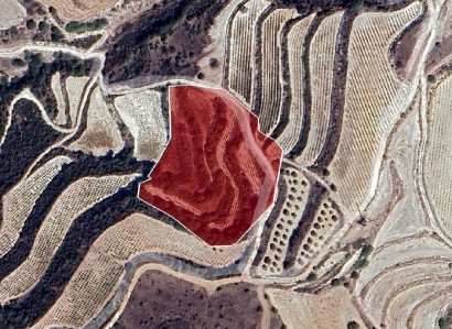 Lemona, Paphos Agricultural Field For Sale | WW31232