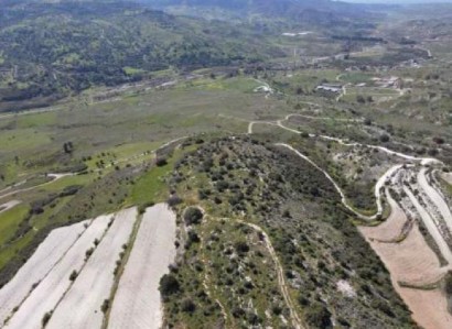 Agios Georgios Agricultural Field For Sale | WW31239