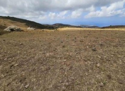 Ineia, Paphos Agricultural Field For Sale | WW31259