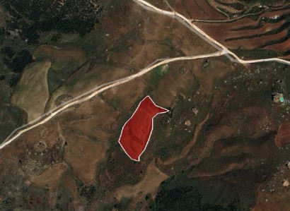 Ineia, Paphos Agricultural Field For Sale | WW31259