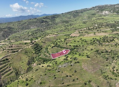 Statos-Agios Fotios Agricultural Field For Sale | WW31266