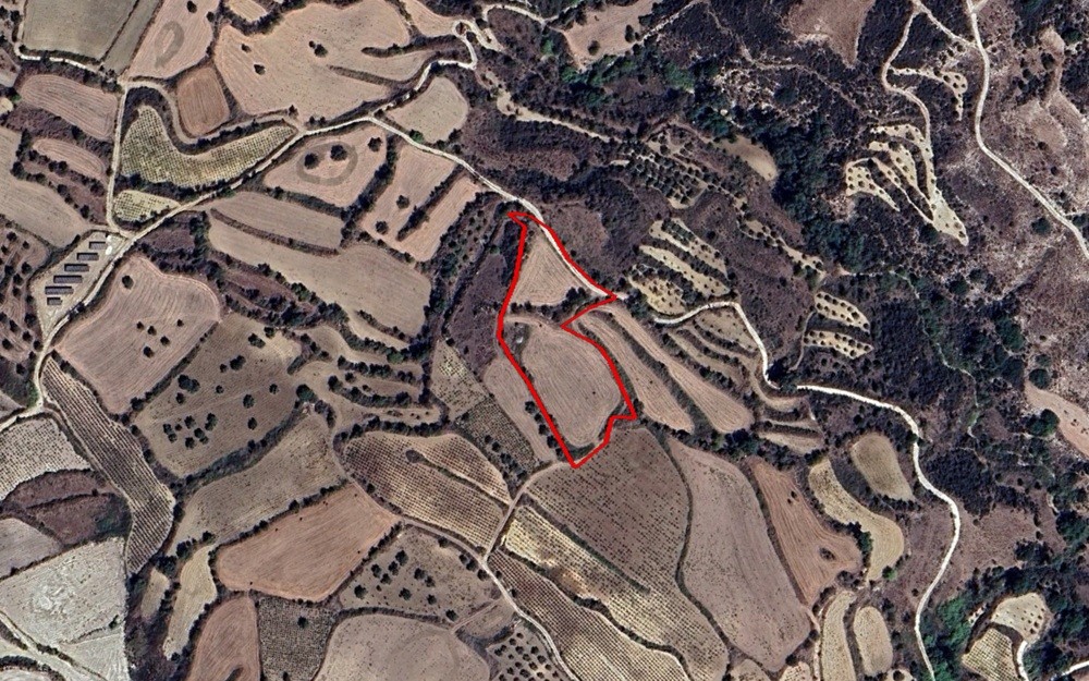 Thrinia, Paphos Agricultural Field For Sale | WW31275