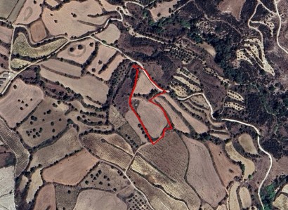 Thrinia, Paphos Agricultural Field For Sale | WW31275