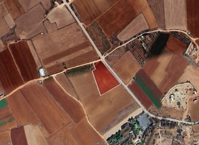 Achna, Famagusta Agricultural Field For Sale | WW31278