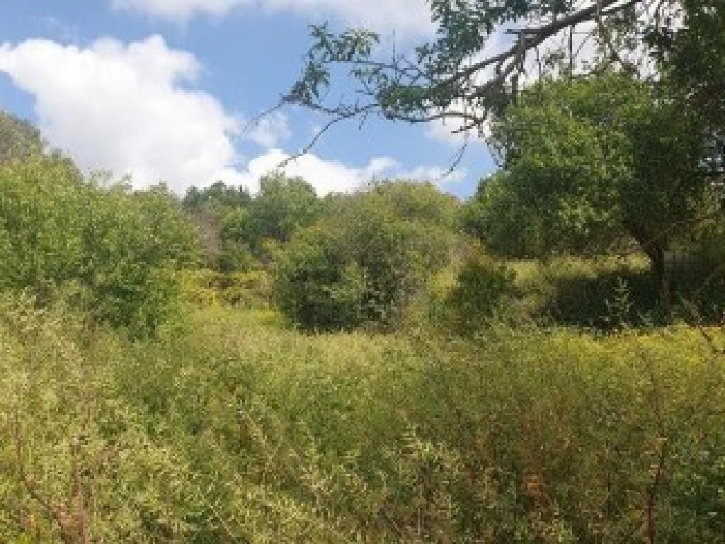 Drymou, Paphos Residential Field For Sale | WW31281